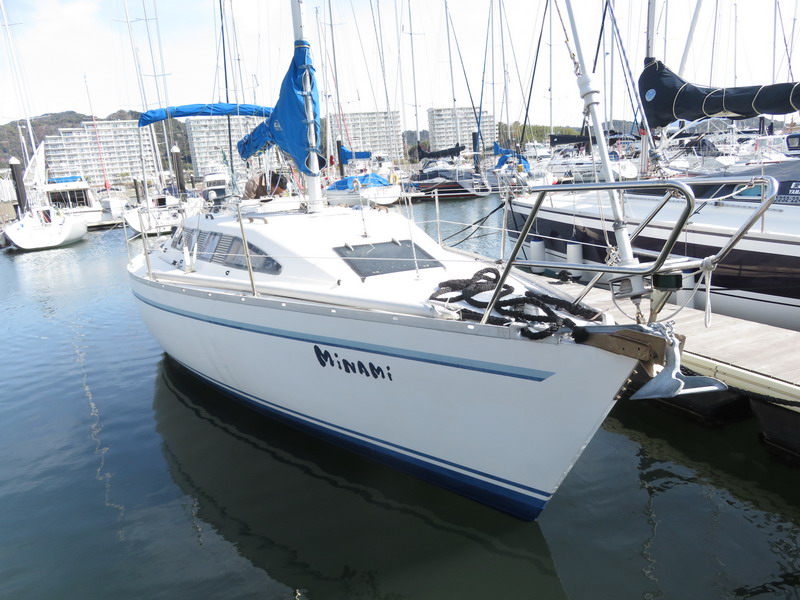 y31ex-02.jpg