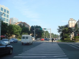 china263