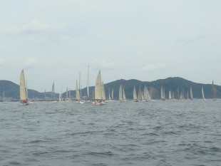 pearlrace36-1